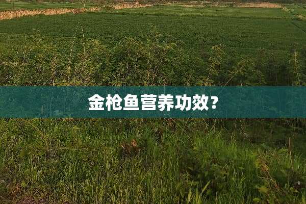 金*鱼营养功效？