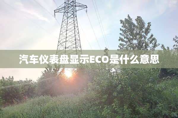 汽车仪表盘显示ECO是什么意思
