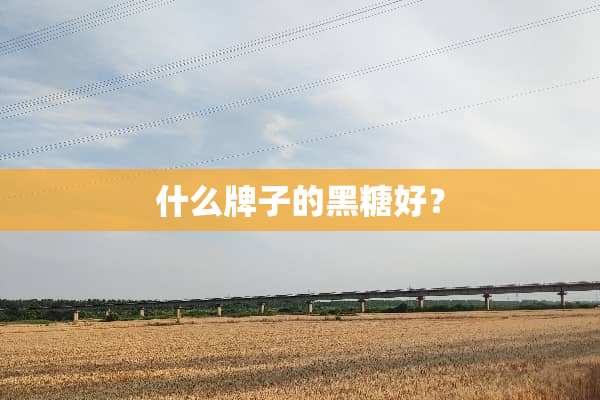 什么牌子的黑糖好？