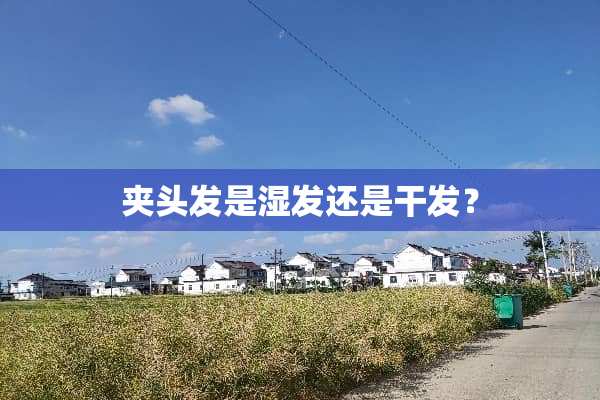 夹头发是湿发还是干发？
