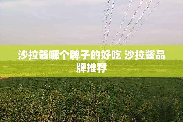 沙拉酱哪个牌子的好吃 沙拉酱品牌推荐