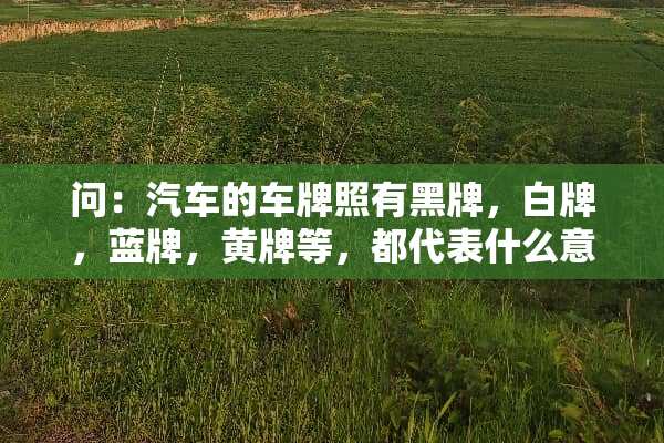 问：汽车的车牌照有黑牌，白牌，蓝牌，黄牌等，都代表什么意思？