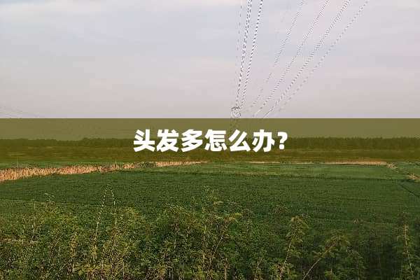 头发多怎么办？