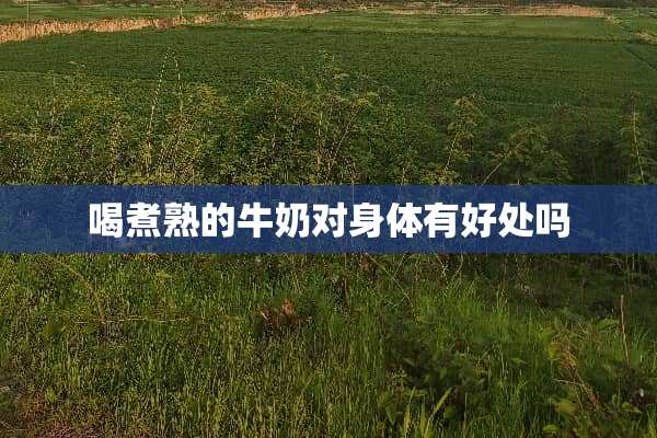 喝煮熟的牛奶对身体有好处吗