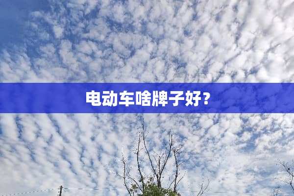 电动车啥牌子好？