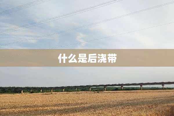 什么是后浇带