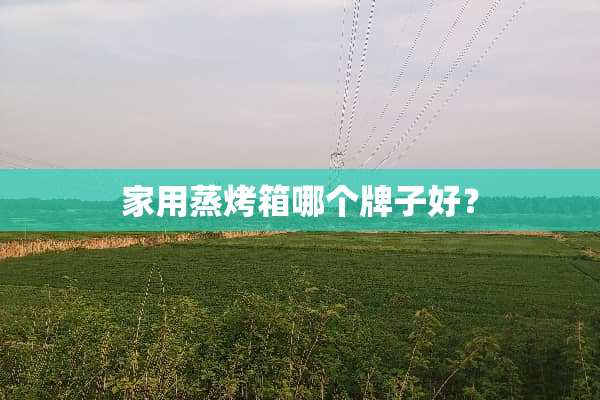 家用蒸烤箱哪个牌子好？