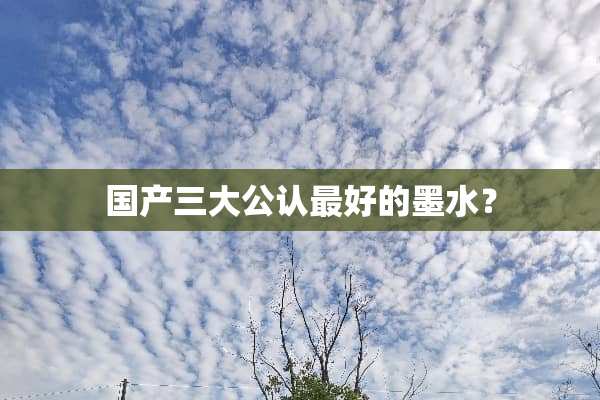 国产三大公认最好的墨水？