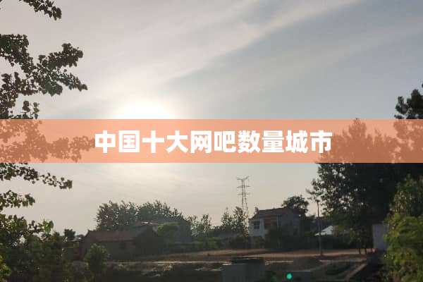 中国十大网吧数量城市