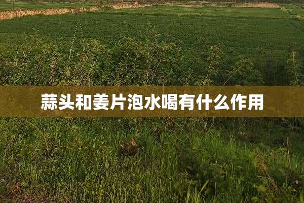 蒜头和姜片泡水喝有什么作用