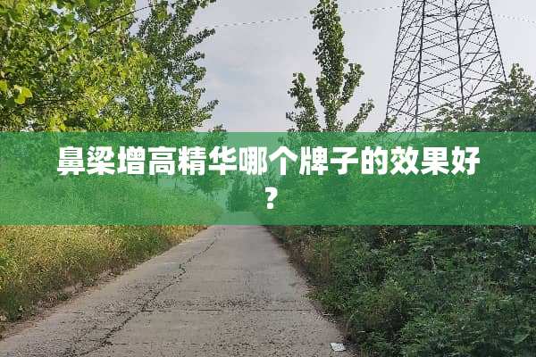 鼻梁增高精华哪个牌子的效果好？
