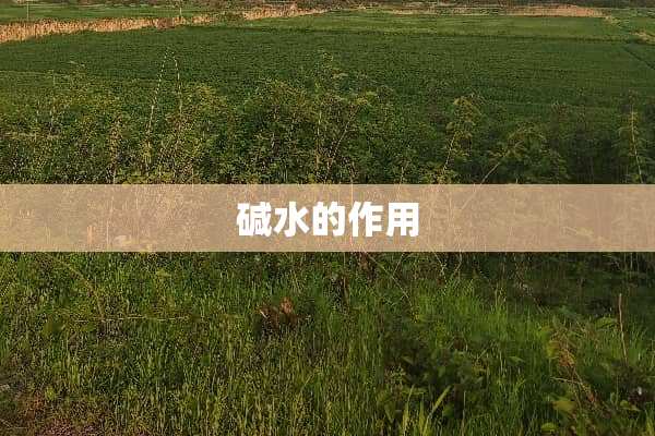 碱水的作用