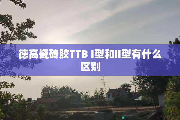 德高瓷砖胶TTB I型和II型有什么区别