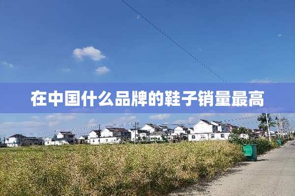 在中国什么品牌的鞋子销量最高