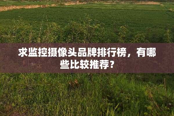 求监控**头品牌排行榜，有哪些比较推荐？