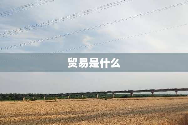 贸易是什么