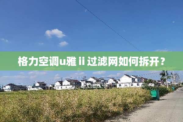 格力空调u雅ⅱ过滤网如何拆开？