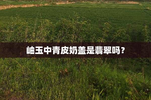 岫玉中青皮奶盖是翡翠吗？