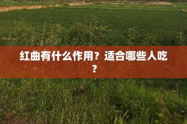 红曲有什么作用？适合哪些人吃？