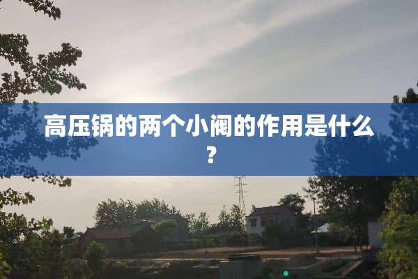 高压锅的两个小阀的作用是什么？