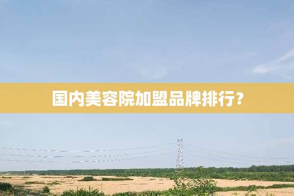 国内美容院加盟品牌排行？