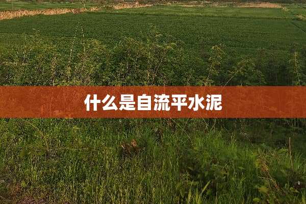 什么是自流平水泥