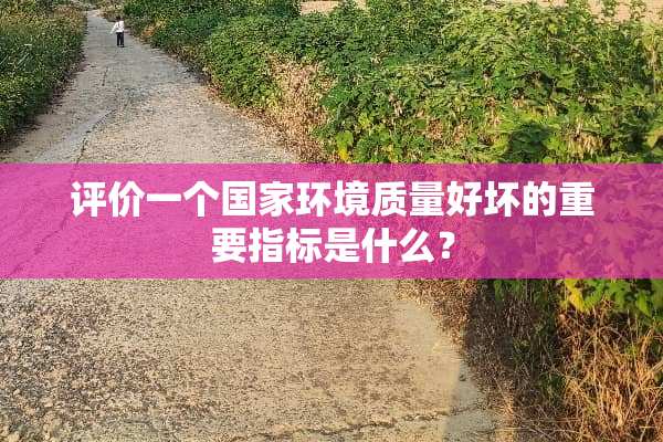 评价一个国家环境质量好坏的重要指标是什么？