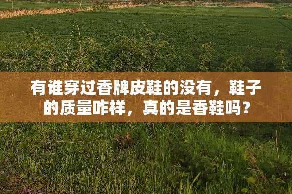 有谁穿过香牌皮鞋的没有，鞋子的质量咋样，真的是香鞋吗？