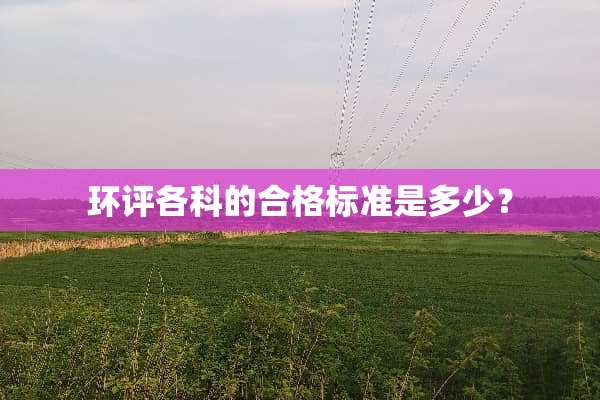 环评各科的合格标准是多少？