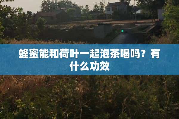 蜂蜜能和荷叶一起泡茶喝吗？有什么功效