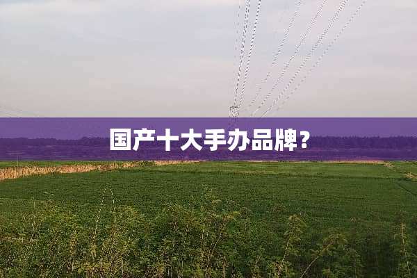 国产十大手办品牌？