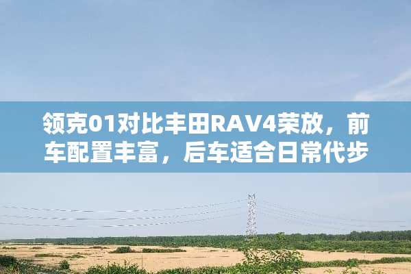 领克01对比丰田RAV4荣放，前车配置丰富，后车适合日常代步！