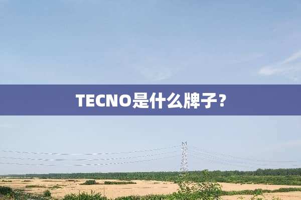 TECNO是什么牌子？