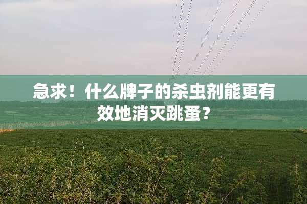 急求！什么牌子的杀虫剂能更有效地消灭跳蚤？