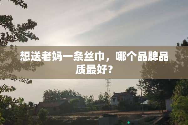 想送老妈一条丝巾，哪个品牌品质最好？