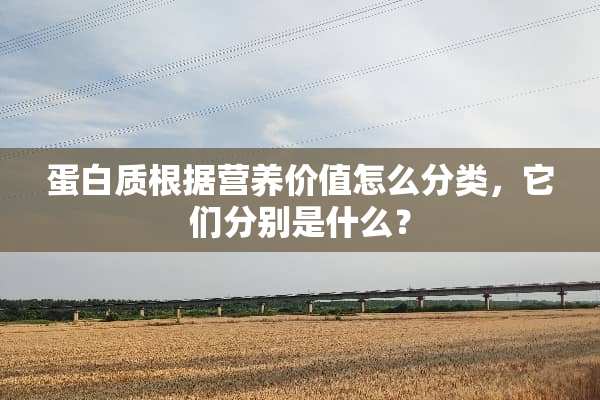 蛋白质根据营养价值怎么分类，它们分别是什么？