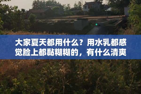 大家夏天都用什么？用水*都感觉脸上都黏糊糊的，有什么清爽不油腻的产品吗？