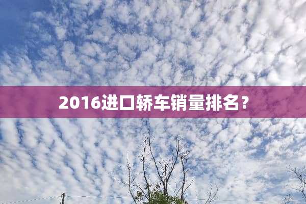 2016进口轿车销量排名？