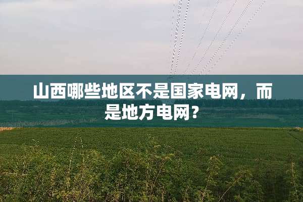 山西哪些地区不是国家电网，而是地方电网？