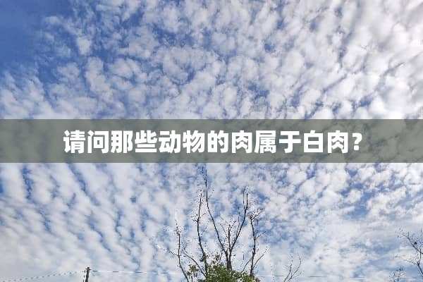 请问那些动物的肉属于白肉？