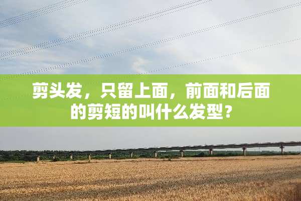剪头发，只留上面，前面和后面的剪短的叫什么发型？