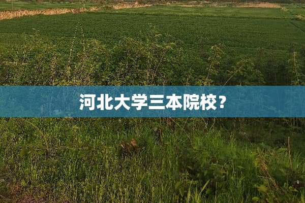 河北大学三本院校？