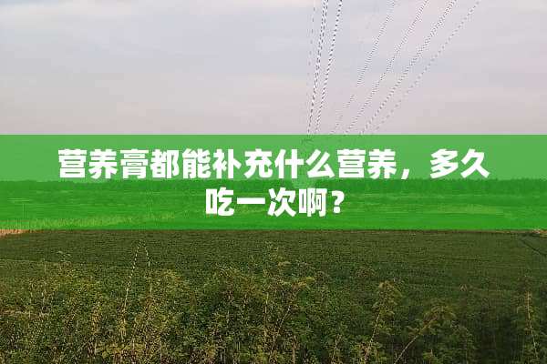 营养膏都能补充什么营养，多久吃一次啊？