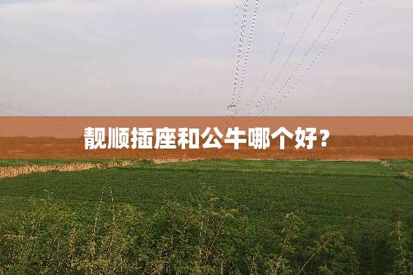 靓顺插座和公牛哪个好？