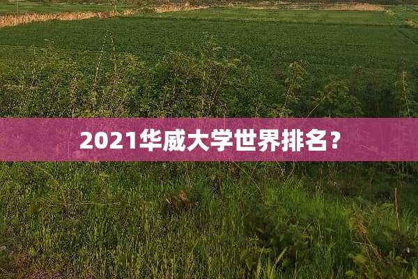 2021华威大学世界排名？