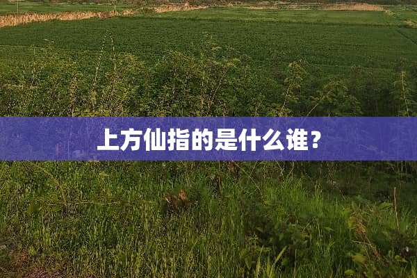 上方仙指的是什么谁？