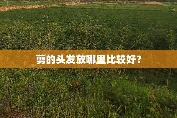 剪的头发放哪里比较好？