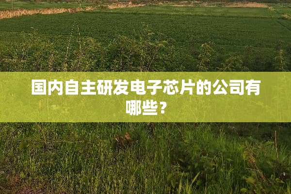 国内自主研发电子芯片的公司有哪些？