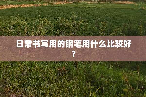 日常书写用的钢笔用什么比较好？