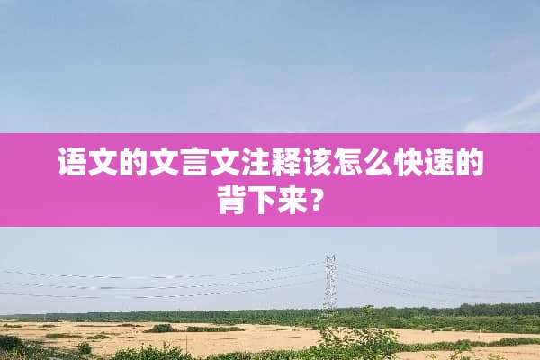 语文的文言文注释该怎么快速的背下来？